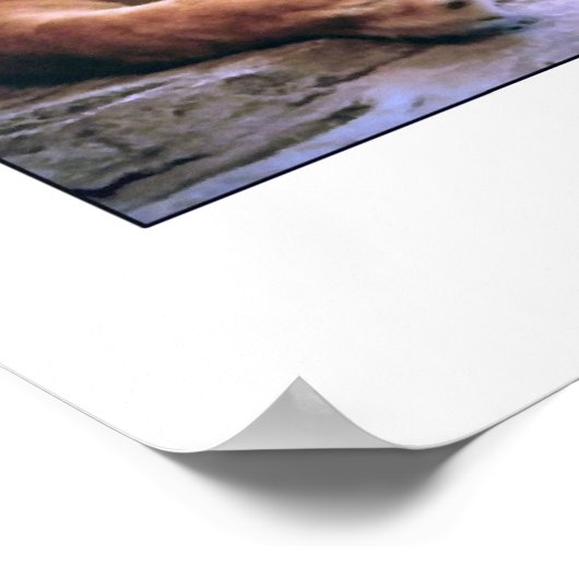 「雌ライオン」 ポスター (角)