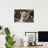 雌ライオン ポスター (ホームオフィス)