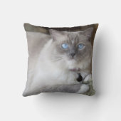 雌ラグドール猫 クッション (裏面)