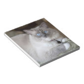 雌ラグドール猫 ノートパッド (アングル)