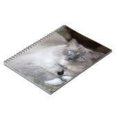 雌ラグドール猫 ノートブック (左側)