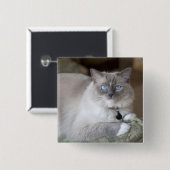 雌ラグドール猫 缶バッジ (正面&裏面)