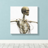 雌リブケージの3次元表示 キャンバスプリント (インサイチュ (ウッドフロア))