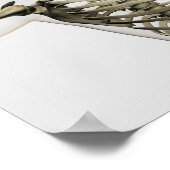 雌リブケージの3次元表示 ポスター (角)