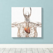 雌リンパ系の医学的イラストレーション キャンバスプリント (インサイチュ (ウッドフロア))