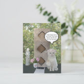 雌猫おもしろいミーム 案内ポストカード (スタンド正面)