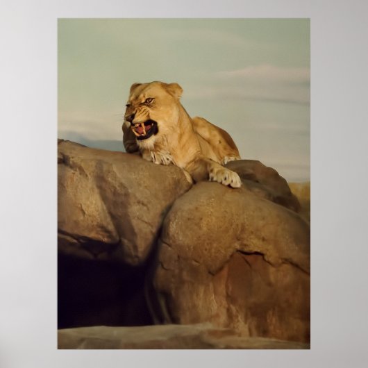 雌獅子が現れる ポスター (正面)