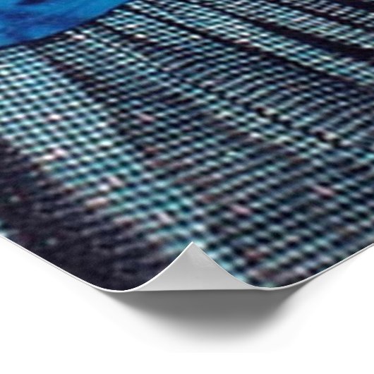 雌雄を決して雄と雄を決める ポスター (角)