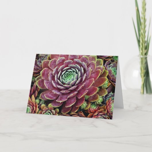 雌鶏およびひよこ カード (正面)