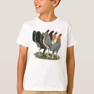 雌鶏4羽 Tシャツ