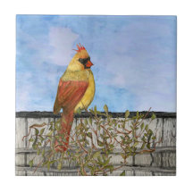 雌（鳥）ショウジョウコウカンチョウセラミックタイル