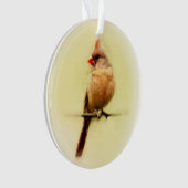 雌（鳥）ショウジョウコウカンチョウソンバード オーナメント (正面)