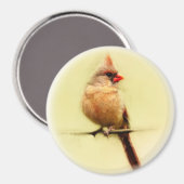 雌(鳥)ショウジョウコウカンチョウソンバード マグネット (正面/裏面)