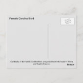 雌（鳥）ショウジョウコウカンチョウ ポストカード (裏面)