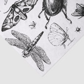 雑多なバグ黒と灰色 薄葉紙 (詳細)