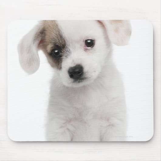 雑種の子犬(2ヶ月) マウスパッド (正面)