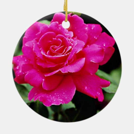 雑種の茶バラの「ピンクの平和」白い花 セラミックオーナメント (裏面)