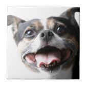 雑種犬の小犬の天使-混合された品種-イヌ科動物 タイル (正面)