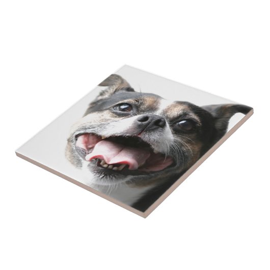 雑種犬の小犬の天使-混合された品種-イヌ科動物 タイル (側面)