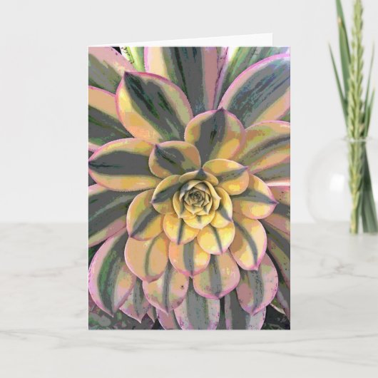 雑色のアエオニウム属 カード (正面)