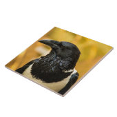 雑色のカラスの大きい(6" X 6")陶磁器の写真のタイル タイル (側面)
