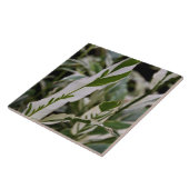 雑色のショウガのタイル タイル (側面)