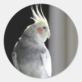 雑色のCockatiel ラウンドシール