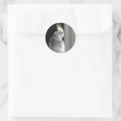 雑色のCockatiel ラウンドシール (バッグ)