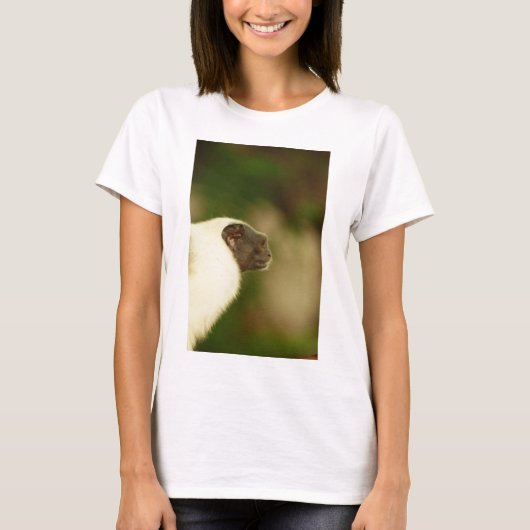 雑色のTamarin Tシャツ (正面)