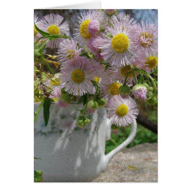 雑草かわいらし (正面)