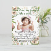 雑草のように成長し、女の子は最初の誕生日だった。 招待状 (スタンド正面)