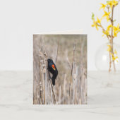 雑草の上の赤い翼のブラックバード カード (黄色い花)