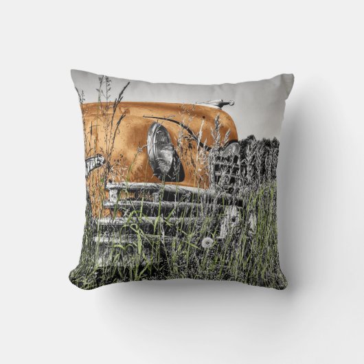 雑草の中の車 クッション (正面)