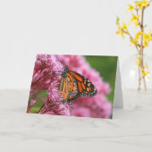 雑草の挨拶状の（昆虫）オオカバマダラ、モナーク カード (黄色い花)