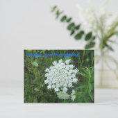 雑草は素晴らしい。 ポストカード (スタンド正面)