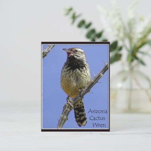 ～雑草取り～ ポストカード (スタンド正面)