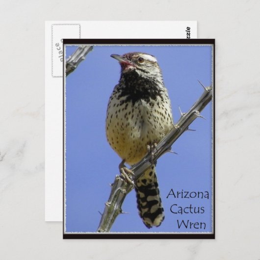 ～雑草取り～ ポストカード (正面/裏面)