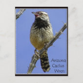 ～雑草取り～ ポストカード (正面)