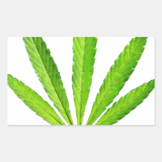 雑草葉 長方形シール (正面)