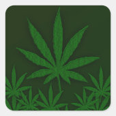 雑草 スクエアシール (正面)