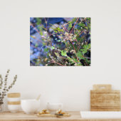 雑草 ポスター (キッチン)