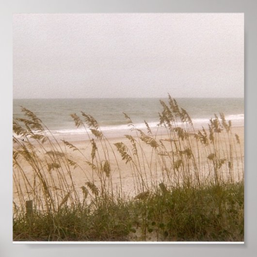 雑草 ポスター (正面)