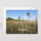 雑草・木・空アイオワ葉書 ポストカード (正面/裏面)