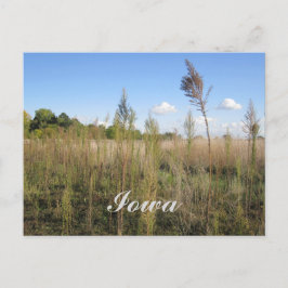 雑草・木・空アイオワ葉書 ポストカード