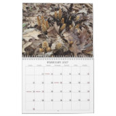 雑草、種子、およびベリー#2カレンダー カレンダー (2月 2027)