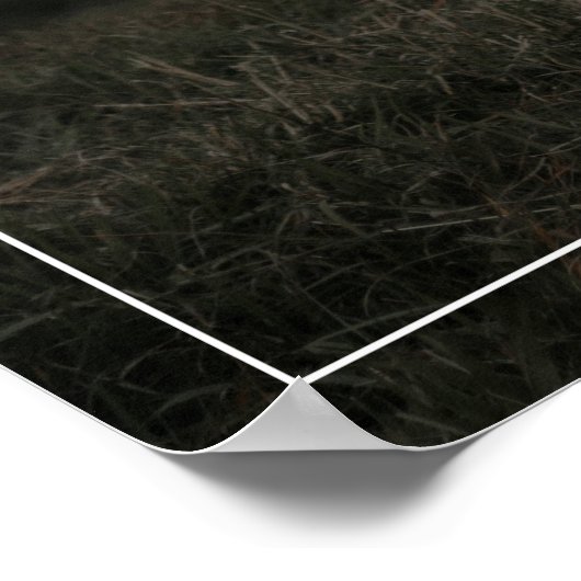 雑誌表紙スタイリッシュ写真研究科 ポスター (角)