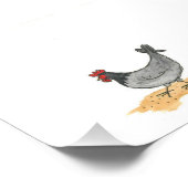 雛つき鶏 フォトプリント            (角)