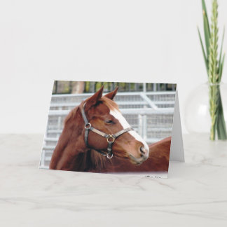 "離れて成長は変わりません…" 友情カード カード