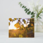 離れズ入り ポストカード (スタンド正面)