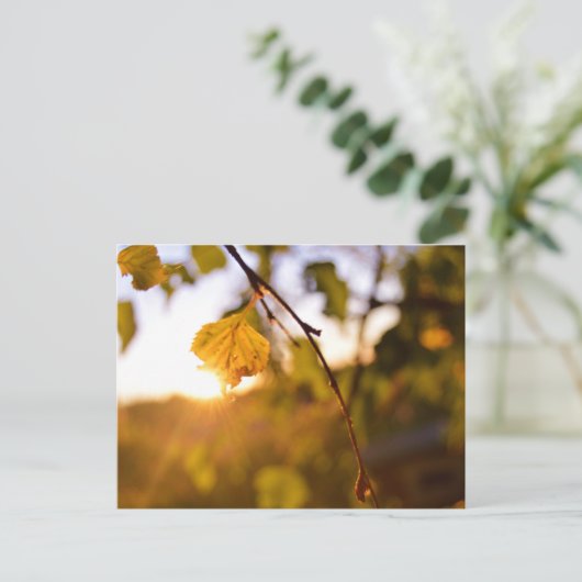 離れズ入り ポストカード (スタンド正面)